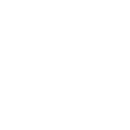 Nodus Corporation